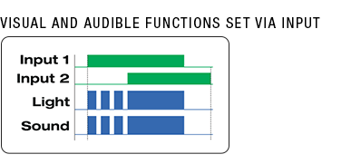 Visual and Audible Functions Set via Input