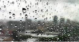 Climate Conditions