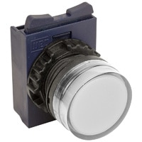 CSW Pilot Lights